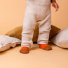 Les Petits Polaires Tigres