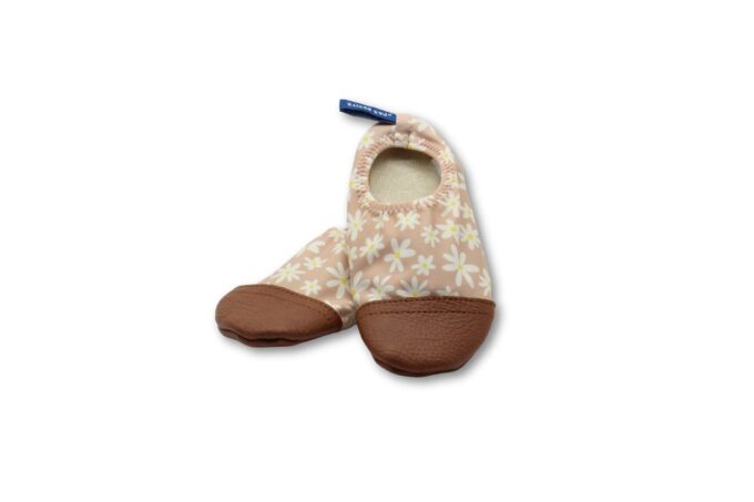 Les petites Marguerites sur fond blanc