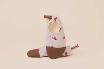 Les Petits Teckels de face sur fond blanc