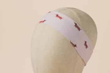 Les Petits Bandeaux Teckels sur fond blanc