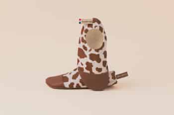 Les Petites Vaches de face sur fond blanc