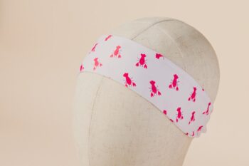 Les Petits Bandeaux Homards sur fond blanc