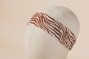 Les Petits Bandeaux Zèbres sur fond blanc